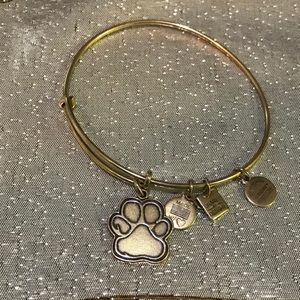 Alex and Ani Charity by Design Bangle